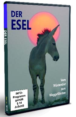 Asinella Eselshop DVD Esel - vom W&uuml;stentier zum Weggef&auml;hrten